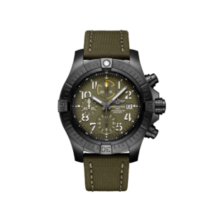 V13317101L1X1